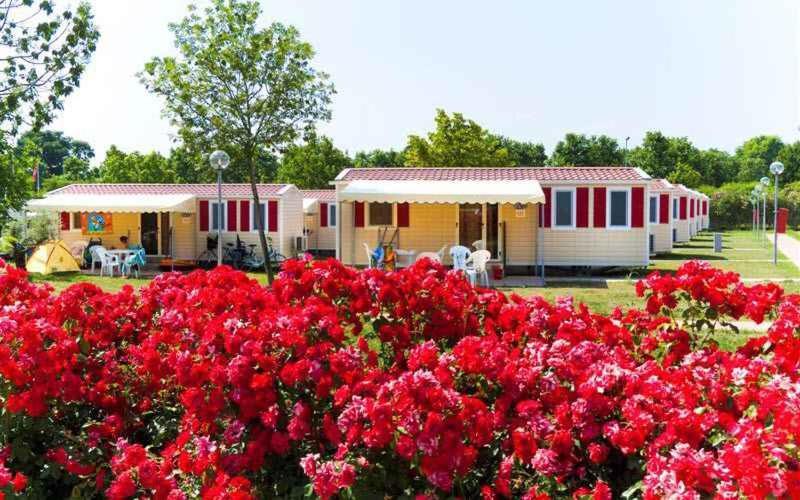 Mobilehomes In Sirmione/Gardasee 22177 Dış mekan fotoğraf